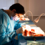 La UFV redobla su apuesta por los estudios de postgrado en Odontología lanzando el Título Especialista y el Máster Internacional en Implantología estética, regeneración y periodoncia avanzadas.