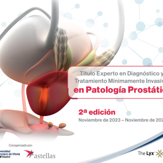 II Título Experto en Diagnóstico y Tratamiento Mínimamente Invasivo en Patología Prostática