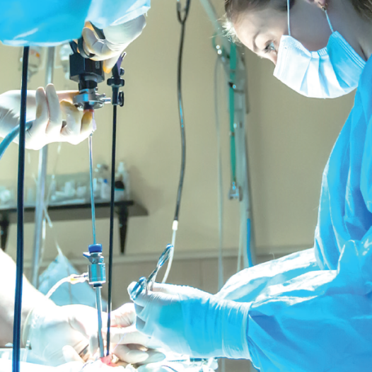 I Curso Avanzado de Laparoscopia en Cirugía Urológica Reconstructiva